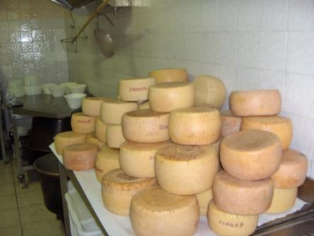 .....e appena lavato!