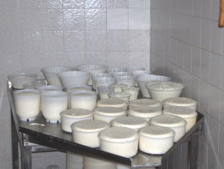 il nostro formaggio...appena fatto