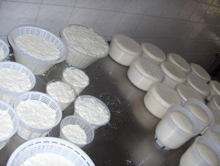 il nostro formaggio...appena fatto